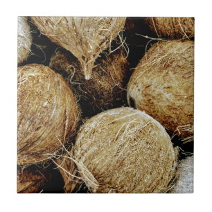 Coconuts Ceramic Tile