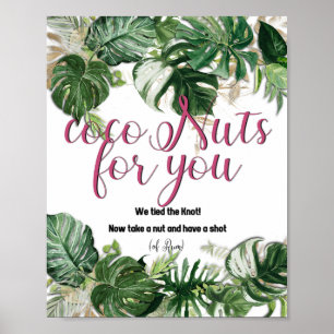 CocoNuts for you - poster