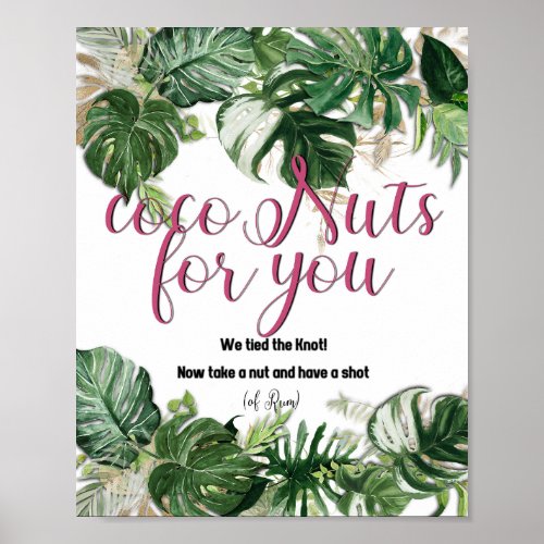 CocoNuts for you _ poster