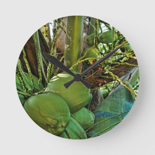  Coconuts Island Palm Tree Caribbean USVI Round Clock