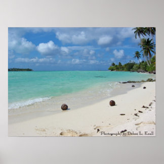 Coconuts on the Beach Poster