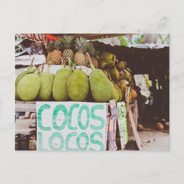 Cocos Locos Postcard (Front)