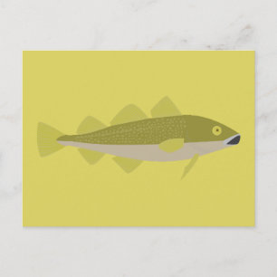 Cod Fish Postcard