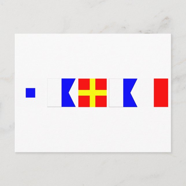 Code Flag Sarah Postcard (Front)