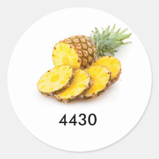Code for pineapple classic round sticker