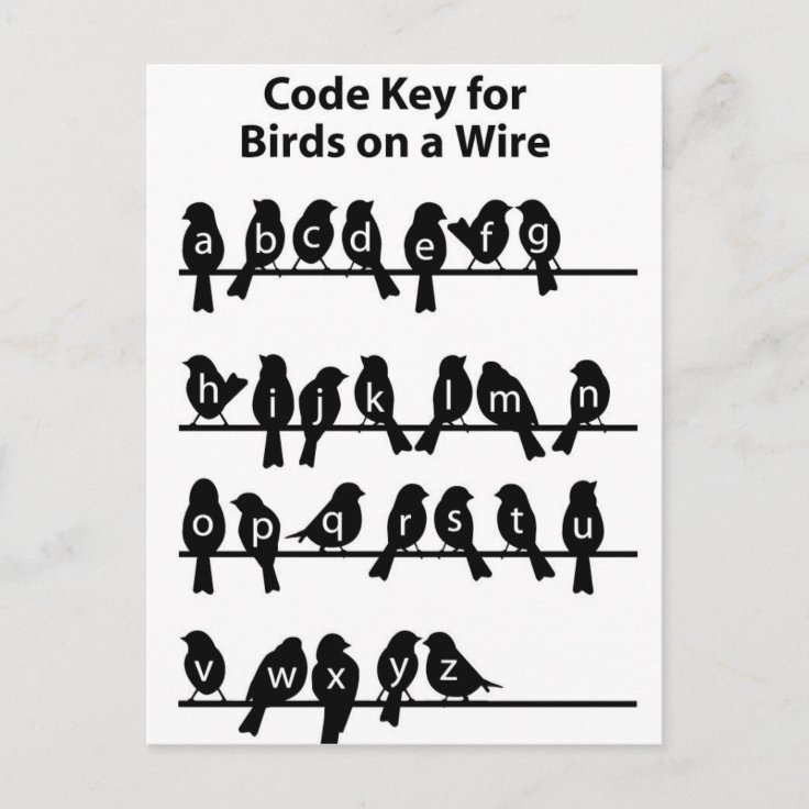 Code Key - Birds on a wire Postcard | Zazzle