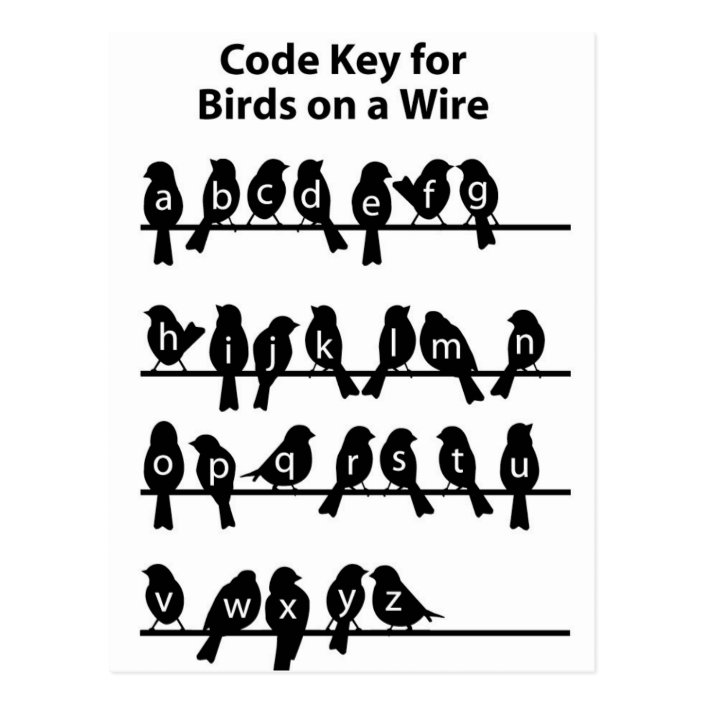 Code Key Birds on a wire Postcard