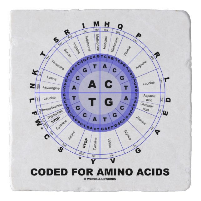 Coded For Amino Acids Codon Wheel Trivet (Front)