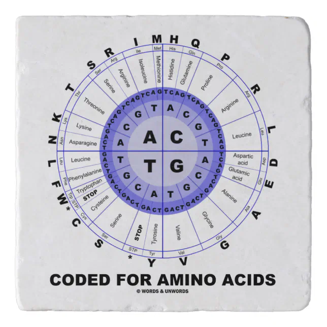 Coded For Amino Acids Codon Wheel Trivet | Zazzle