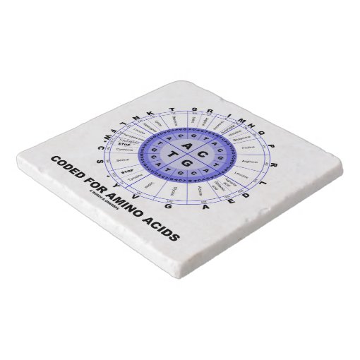 Coded For Amino Acids Codon Wheel Trivet | Zazzle