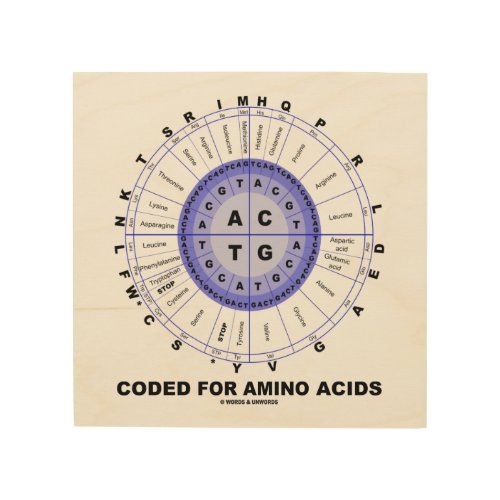 Coded For Amino Acids Codon Wheel Wood Wall Decor