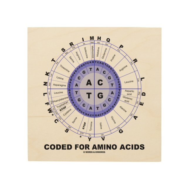 Coded For Amino Acids Codon Wheel Wood Wall Decor (Front)