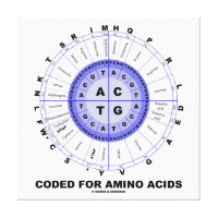 Coded For Amino Acids (Genetic Code DNA)
