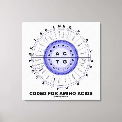 Coded For Amino Acids Genetic Code DNA Canvas Print