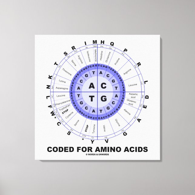Coded For Amino Acids (Genetic Code DNA) Canvas Print (Front)