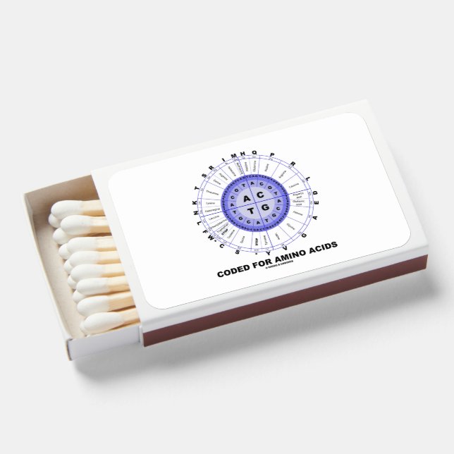 Coded For Amino Acids Genetic Code DNA Matchboxes (Front Open)