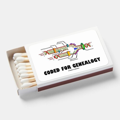 Coded For Genealogy DNA Replication Matchboxes