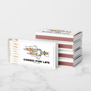 Coded For Life DNA Replication Matchboxes