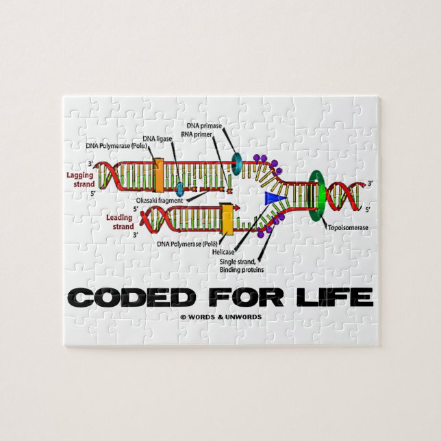 Coded For Life DNA Replication Molecular Biology Jigsaw Puzzle (Horizontal)