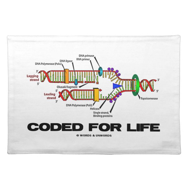Coded For Life DNA Replication Molecular Biology Placemat (Front)