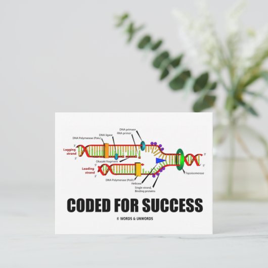 Coded For Success (DNA Replication) (Standing Front)