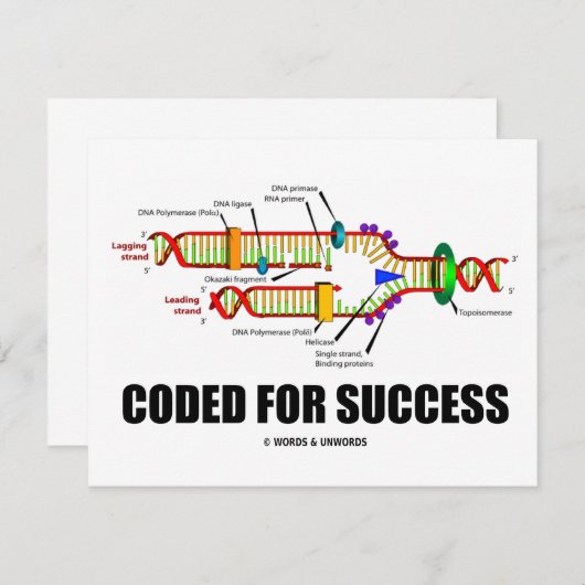 Coded For Success (DNA Replication) (Front/Back)