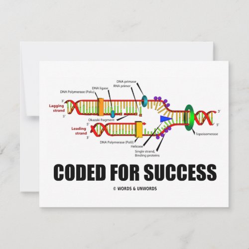 Coded For Success (DNA Replication) Invite