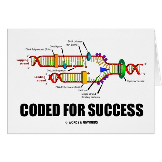 Coded For Success (DNA Replication) Cards (Front Horizontal)