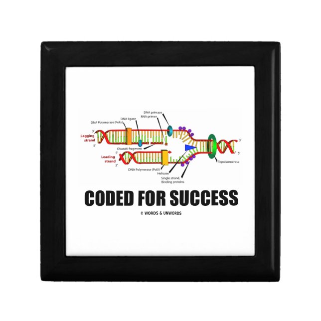 Coded For Success (DNA Replication) Gift Box (Front)