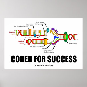 Coded For Success DNA Replication Humor Poster