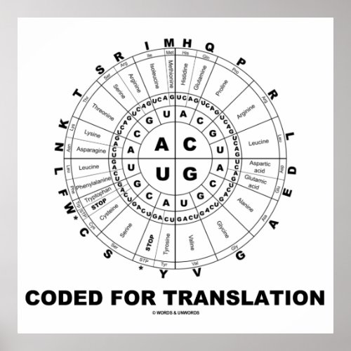 Coded For Translation RNA Codon Wheel Poster