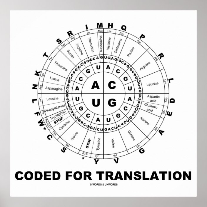 Coded For Translation (RNA Codon Wheel) Poster