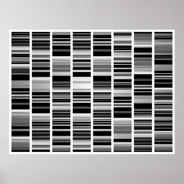 Codex Poster (Front)