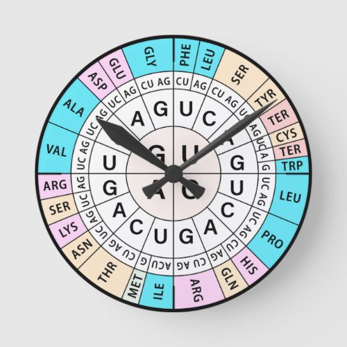 Codon Chart Genetic Code Round Clock