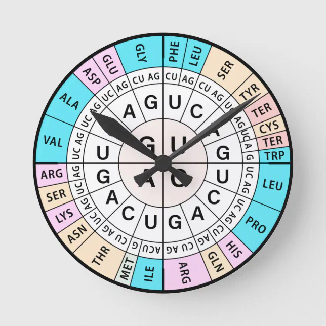 Codon Chart Code Round Clock Zazzle