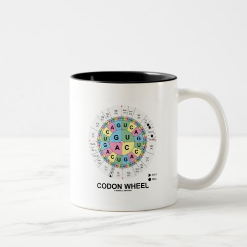 Codon Wheel RNA Codons Amino Acids Two_Tone Coffee Mug