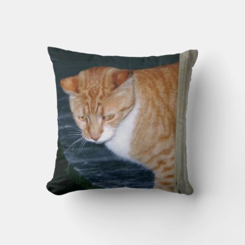 Cody the Cat Pillow