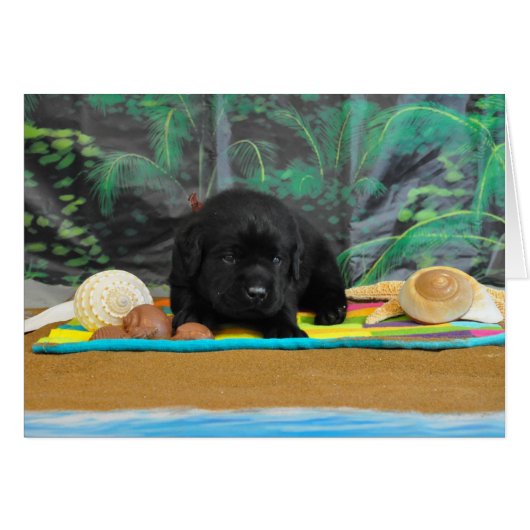Cody week 2 cards (Front Horizontal)