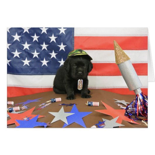 Cody week 4 (Front Horizontal)