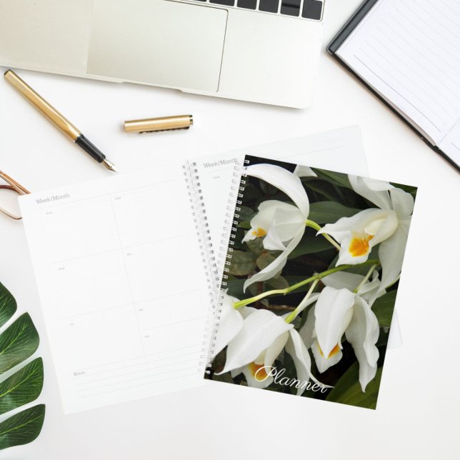 Coelogyne Mooreana Orchid Blooms Floral Planner (Creator Uploaded)