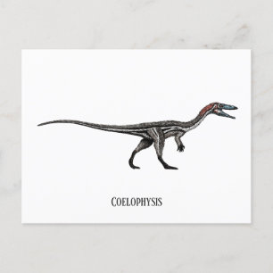 Coelophysis dinosaur postcard
