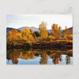 Coeur D Alene River near Cataldo, Idaho. Postcard