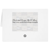 Coffe, Tea, or Meow (Back Horizontal)