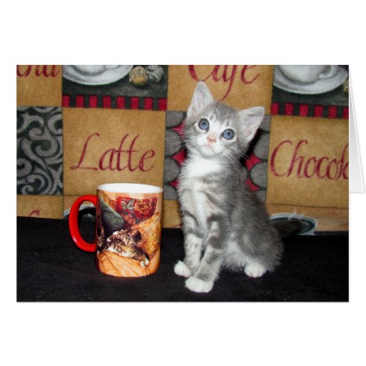 Coffe, Tea, or Meow Cards (Front Horizontal)