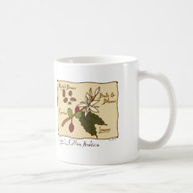 Coffea Arabica