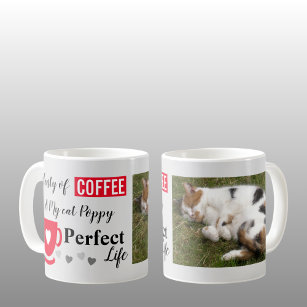 Coffee and my cat perfect life grey red photo coffee mug