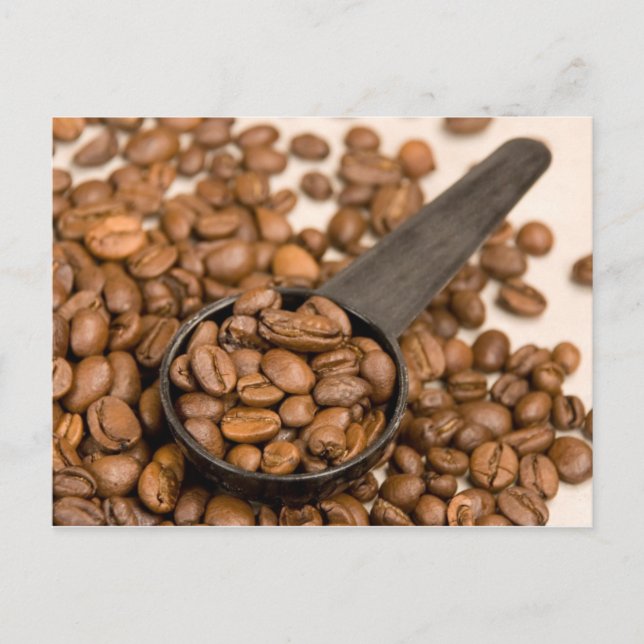 Coffee Beans Background Postcard (Front)