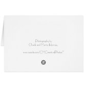 Coffee Beans Pattern - Dark Roast Cards (Back Horizontal)