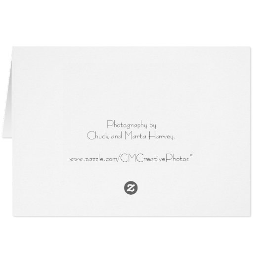 Coffee Beans Pattern - Dark Roast Cards (Back Horizontal)