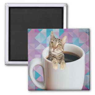 coffee cat magnet